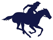 Pony Express Mail & Business Center, Bellevue WA